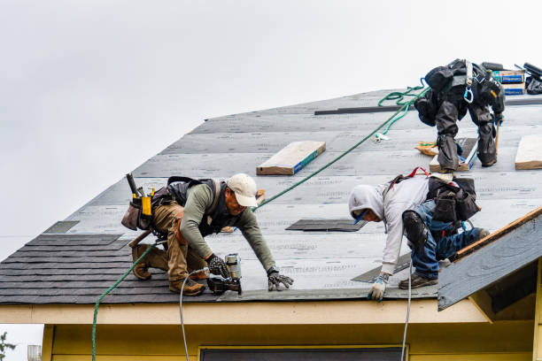 Professional Roof Replacement technician working in Rockfall, CT